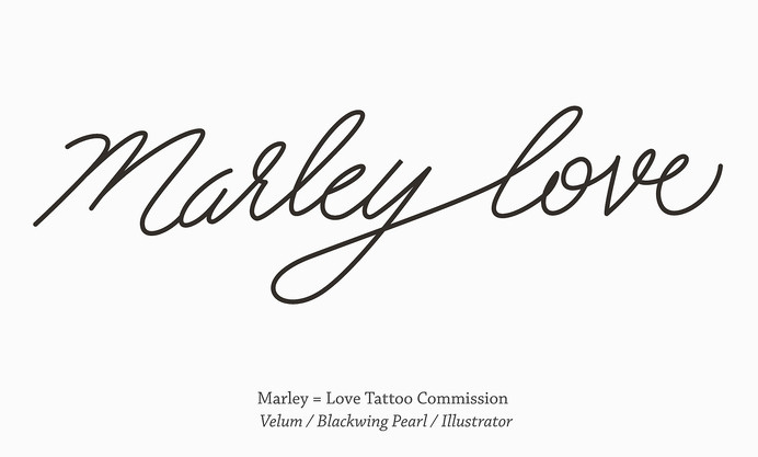 NICK SICKELTON nicksickelton.com #lettering #letters #vector #design #graphic #letter #hand