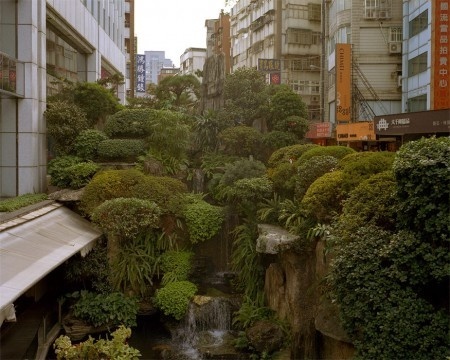 #green #photo #music #landscape