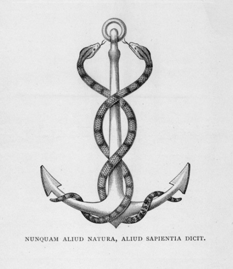 TRASH #anchor #etching