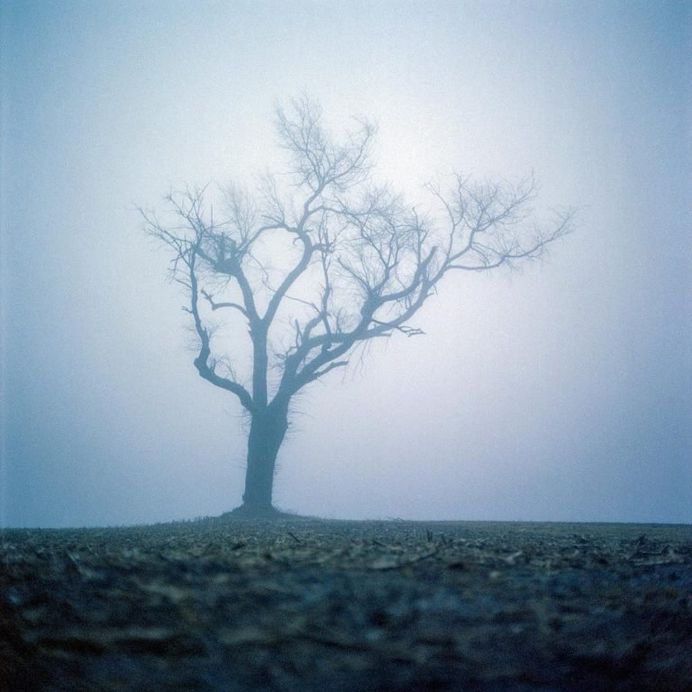 Stunning Analog Street Photography by Daniel Regner