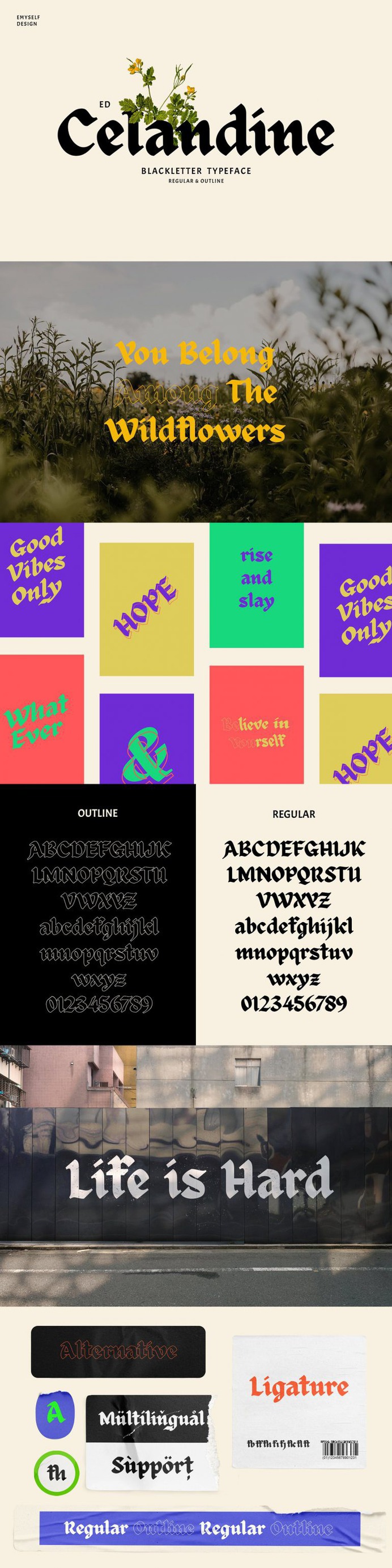ED Celandine Typeface