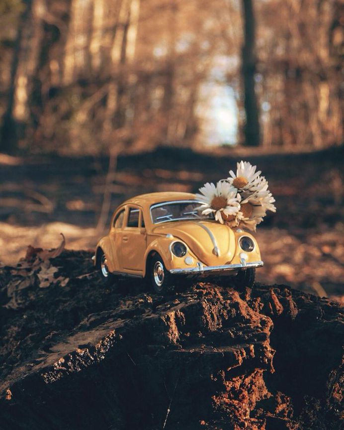 Amazing Miniature Scenes With Toy Cars by Nihan Tezer