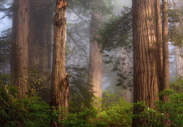 #longexpoelite: Wonderful Oregon's Nature Landscapes by Steve Schwindt