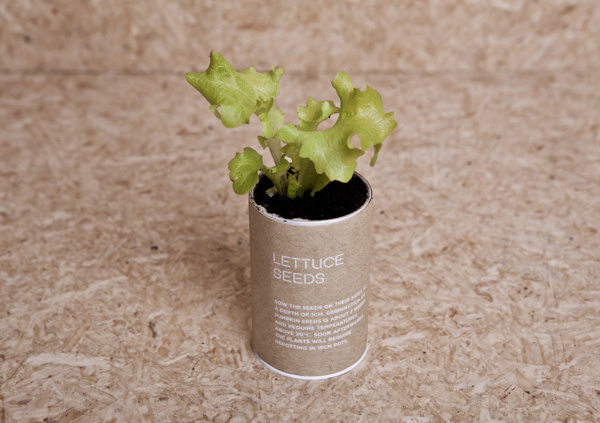 Urban Survival Pack #ideas #apartment