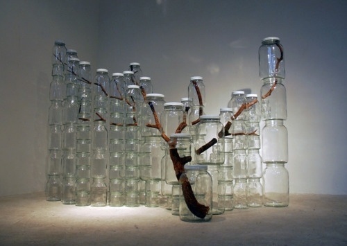 http://-staycold.tumblr.com/post/2924167346 #branch #jars #art #installation