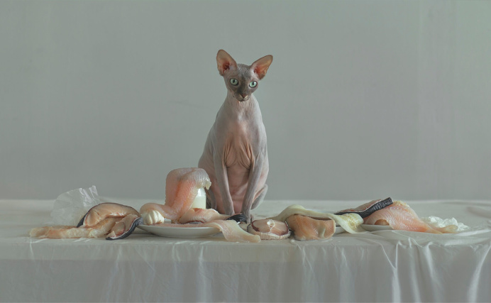 Evelyn Bencicova / (an)organic
