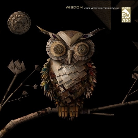 Los-Angeles-Zoo-wisdom.jpg 1,200×1,200 pixels #paper #owl