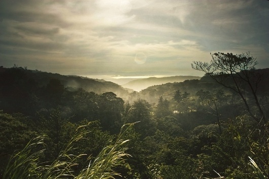 All sizes | Slightly raining | Santa Elena, Costa Rica | Flickr - Photo Sharing! #rica #photography #costa #nature