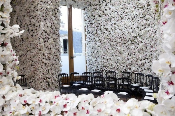Dior- orchid room 2 #dior #orchids