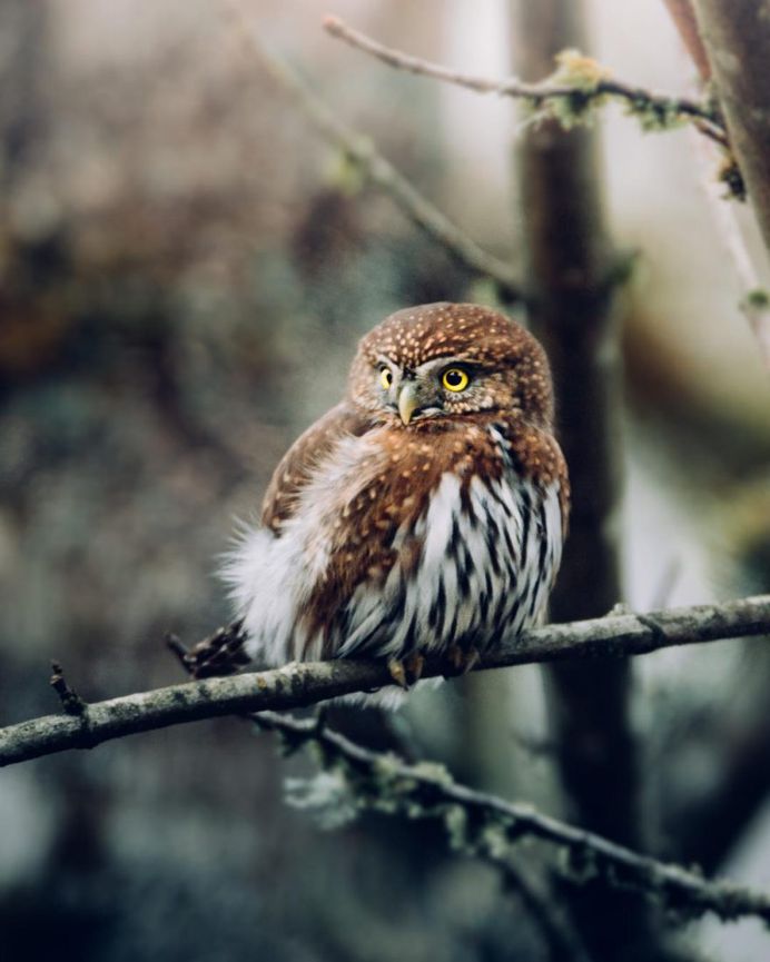 Spectacular Photos of British Columbia Landscapes by Ian Harland