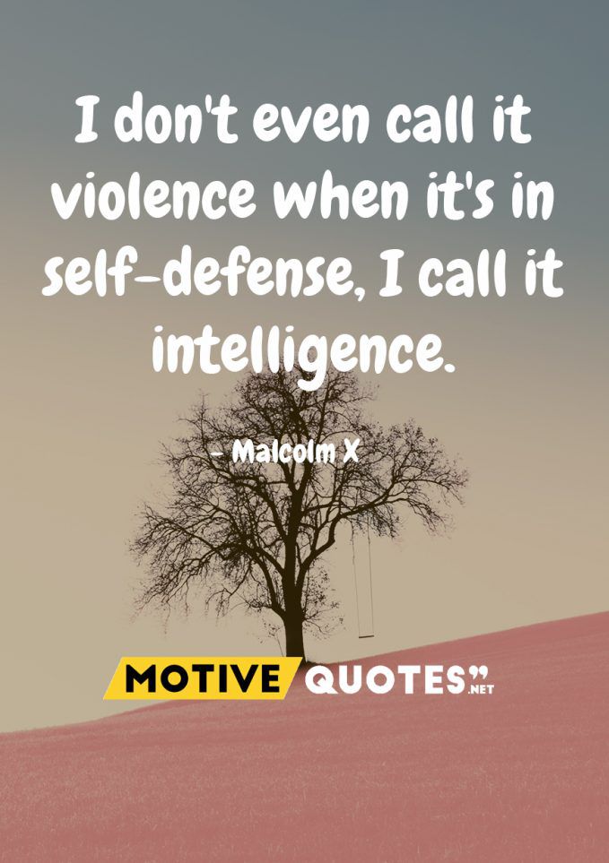I don’t even call it violence when it’s in self-defense, I call it intelligence.