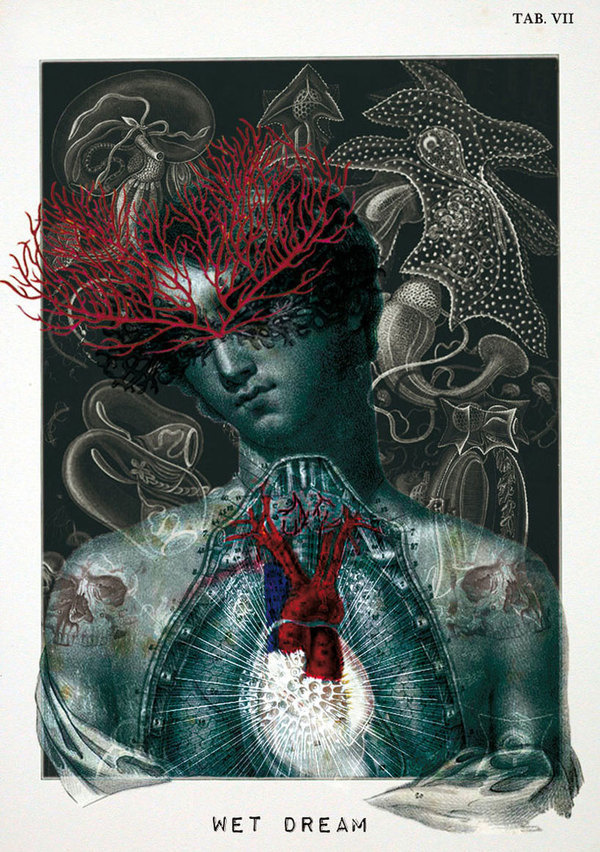 Click to enlarge image isabelle dalle designboom 23.jpg #isabelle #dalle #anti #collage #style