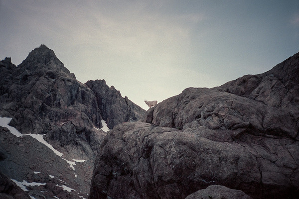 Selected Images Cody Cobb #photography