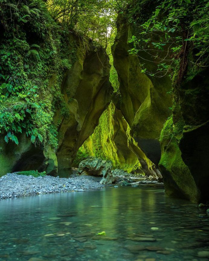 Patuna Chasm in Martinborough