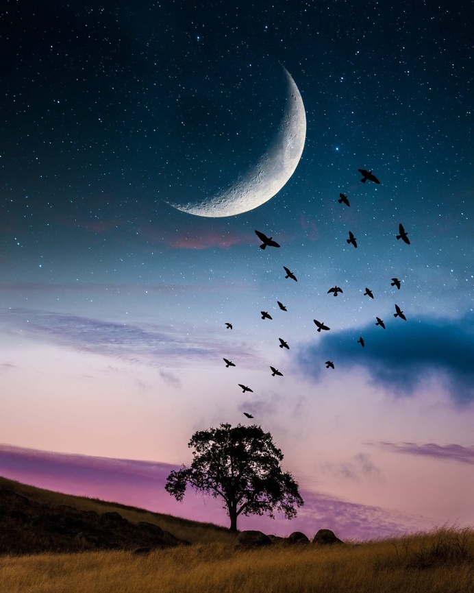 Stunning Photo Manipulations by Dillon Saw