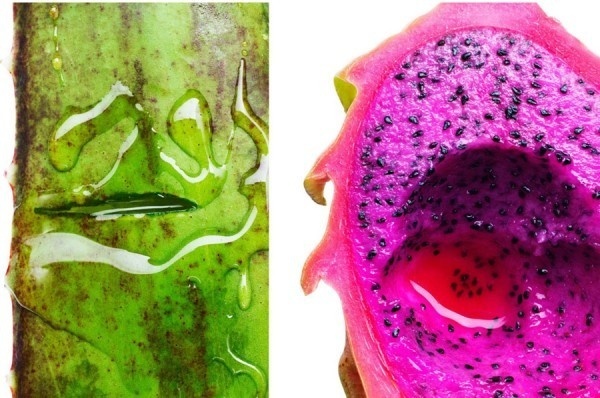 food photography maren caruso 6 #photography #food #conceptual #ingredients