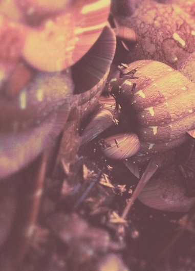 Atelier Olschinsky « PICDIT #design #graphic #colour