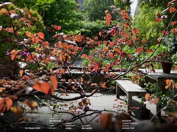 DansGarden #nature