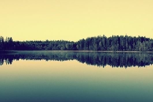 565461221569720.jpg (600×400) #yellow #retro #landscape #soft #reflection #green