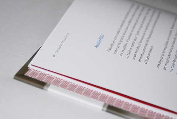 Book Design / Disexc3xb1o Libro: Con Alma Jarocha #design #veracruz #book #tradition #editorial