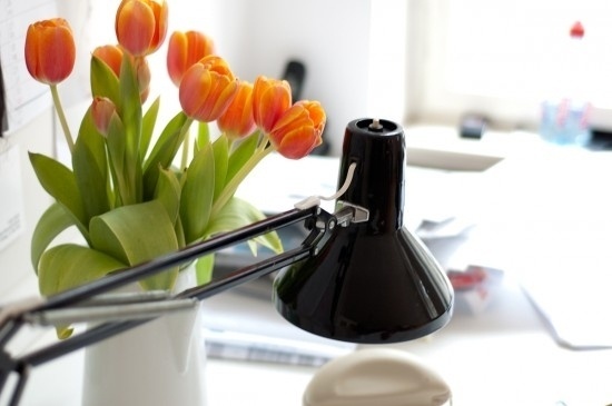 gabrieldesigns » + VOIX: PerretSchaad #interior #perretschaad #flowers