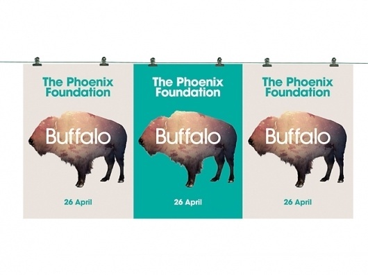 The Phoenix Foundation Buffalo | Packaging of the World: Creative Package Design Archive and Gallery #foundation #phoenix #designworks #the #poster #music