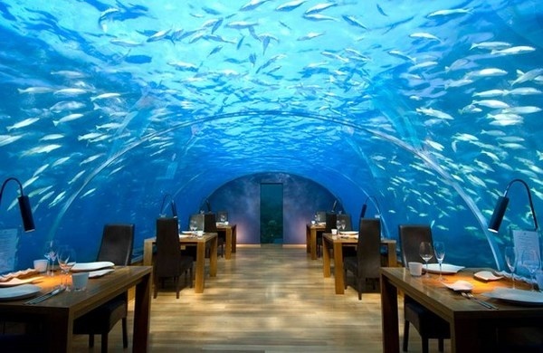 Artistic restaurant – inspiring view from underwater restaurant Ithaa #artistic #view #underwater #restaurant