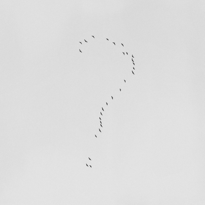 Herm the Younger Questions, 2019 Photography by Ilkka Kärkkäinen
