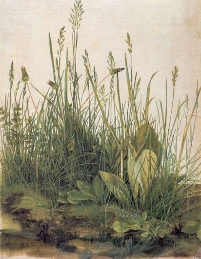 tumblr_l968u5cg6y1qzw9h4o1_500.jpg (Immagine JPEG, 500x642 pixel) #albrecht drer