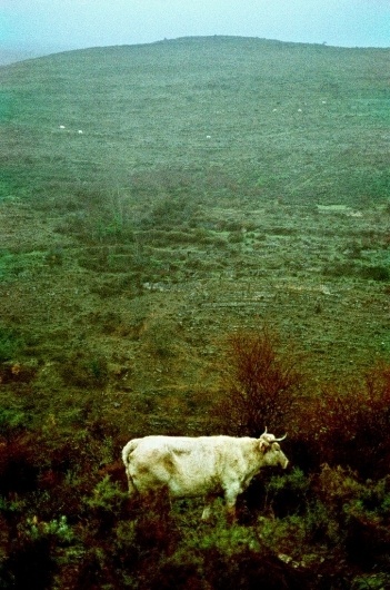 Untitled | Flickr - Photo Sharing! #photography