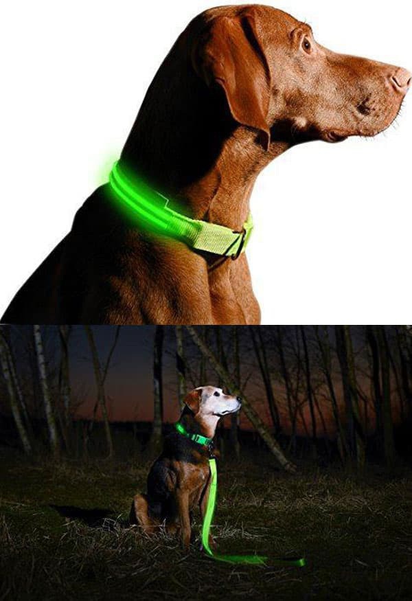 LED Dog Collar