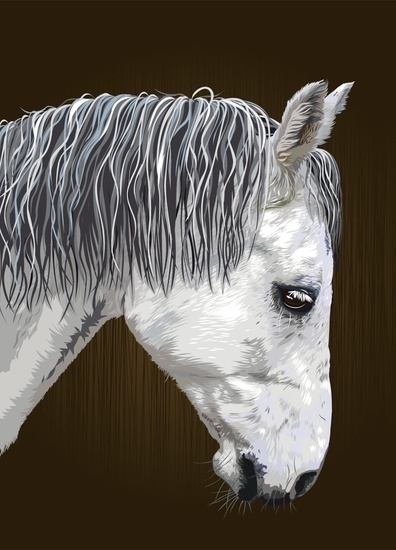 Kilian aka «Look At Me» the II. #horse #fellerer #together #illustration #portrait #forever #marge #friends
