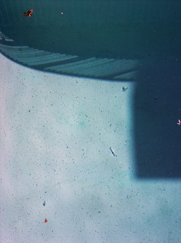 Josh McNey - Californiae #pool #photography