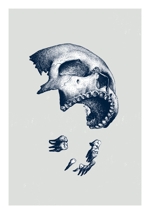 visualgraphc: Marceau Truffaut: Ni dieux ni maitres #teeth #jaw #macabre #design #illustration #art #separate #skull #bones #deconstructed