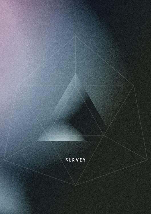 SURVEY #shadows #geometry #grain #glitch #poster #dark #electronic