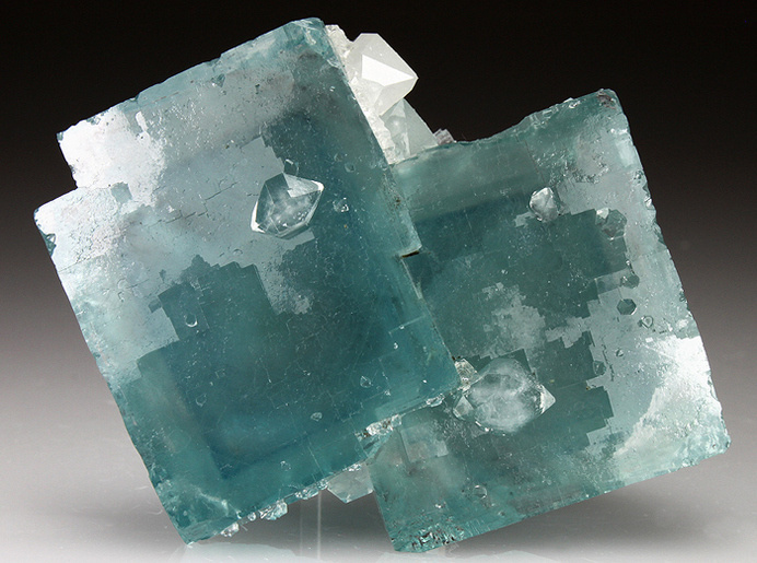 OTAKU GANGSTA #square #mineral