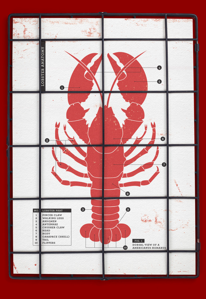 Branding for Pince & Pints, a local restaurant and bar that specialises in lobster dishes. #signage #art