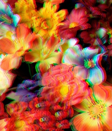 I like this blog #flower #color #saturation