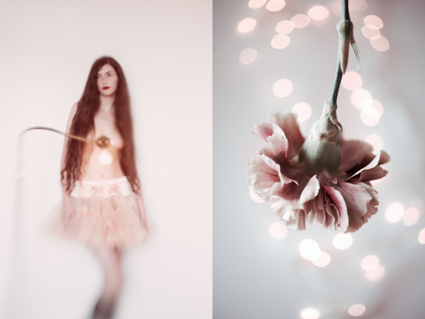 Blossom on Behance #diptych