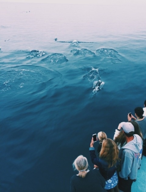Nate James | PICDIT #photo #photography