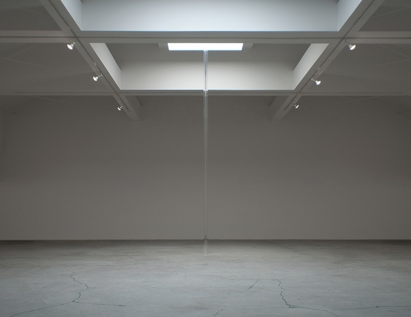 Google Image Result for http://www.acegallery.net/artists/irwin/images/RI_Untitled_D1z.jpg #acrylic #irwin #art #installation