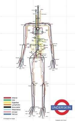 The Human Body As A Subway Map #infographic #data #subway map #human body