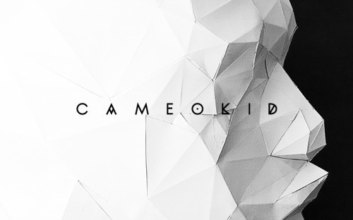 ATELIER CAMEOKID. copyright 2014 http://thecameokid.com #kang #branding #hojin #design #graphic #cameokid