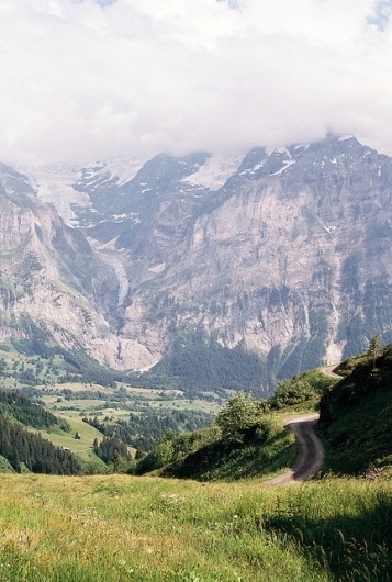 Ileum #ladempsey #swiss