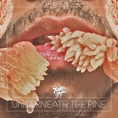 Pitchfork: Toro Y Moi: Hear the New LP, Watch the New Video #album #design #cover #photography #music