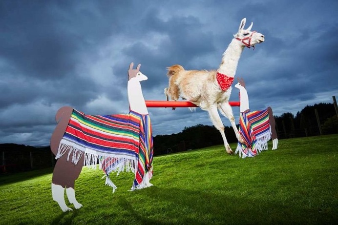 Some Epic Photos From The Guinness World Records 2017