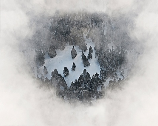 Winter Aerials on the Behance Network #clouds #aerial #fog #bernhard #snow #wood #forest #lang #trees #winter