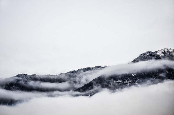 Fog. on Behance #fog #georgia #misty #minimal #forest #winter