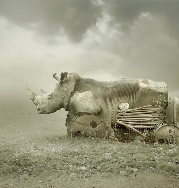 Photo Manipulations by Amandine Van Ray #inspiration #photography #manipulations