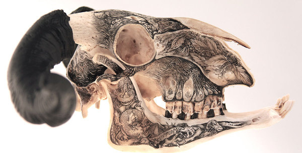 Skulls by DZO Olivier | LLGD.net #illustration #ink #animal #skull